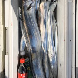 フィッシング　キッタカ 釣果