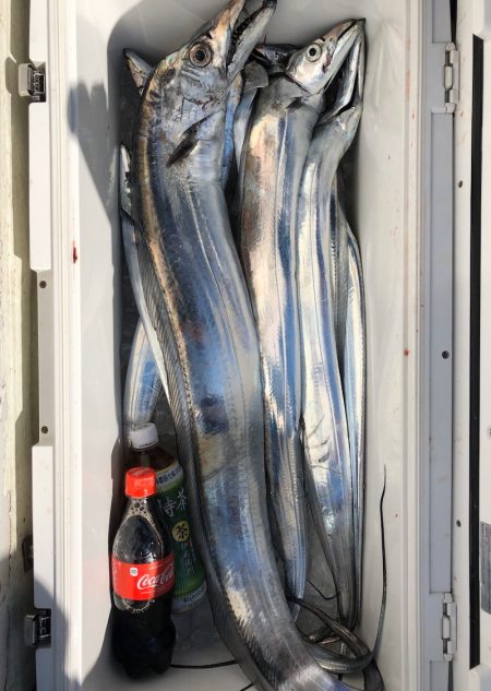 フィッシング　キッタカ 釣果