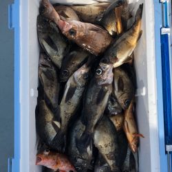 フィッシング キッタカ 釣果