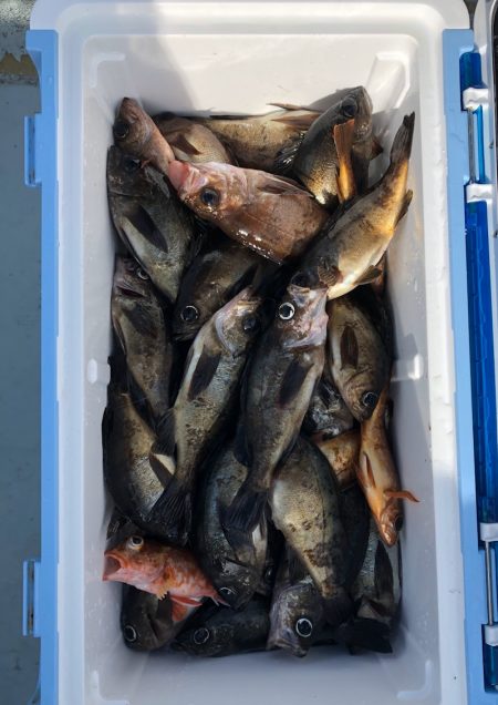 フィッシング キッタカ 釣果