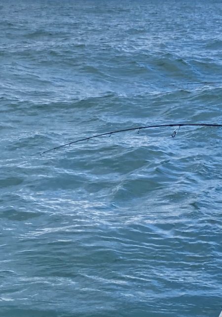 あみや渡船 JIGBOY 釣果