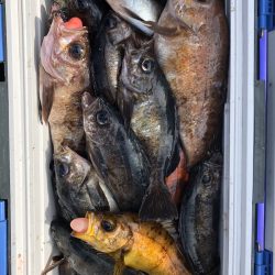 フィッシング キッタカ 釣果