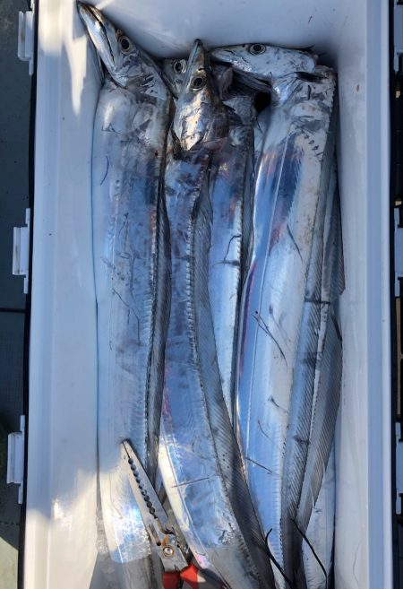 フィッシング　キッタカ 釣果