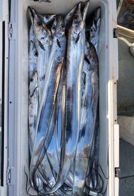 フィッシング キッタカ 釣果