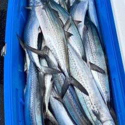 あみや渡船 JIGBOY 釣果