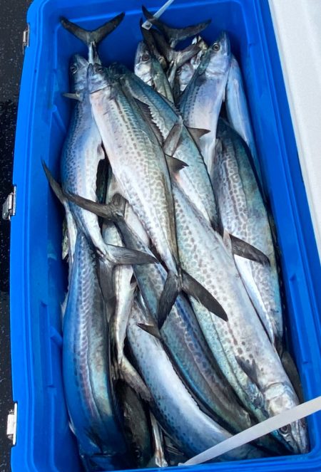 あみや渡船 JIGBOY 釣果