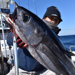 渡船屋たにぐち 釣果