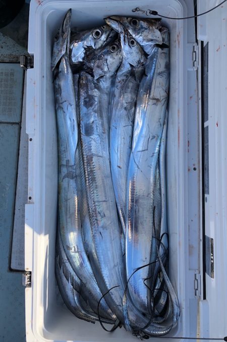 フィッシング　キッタカ 釣果