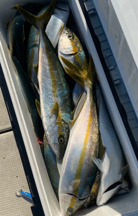 あみや渡船 JIGBOY 釣果