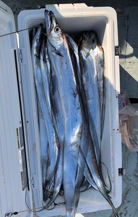 フィッシング キッタカ 釣果