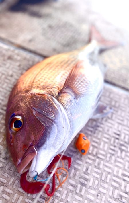 龍神丸（鹿児島） 釣果