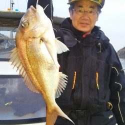 マリンガイド福丸 釣果