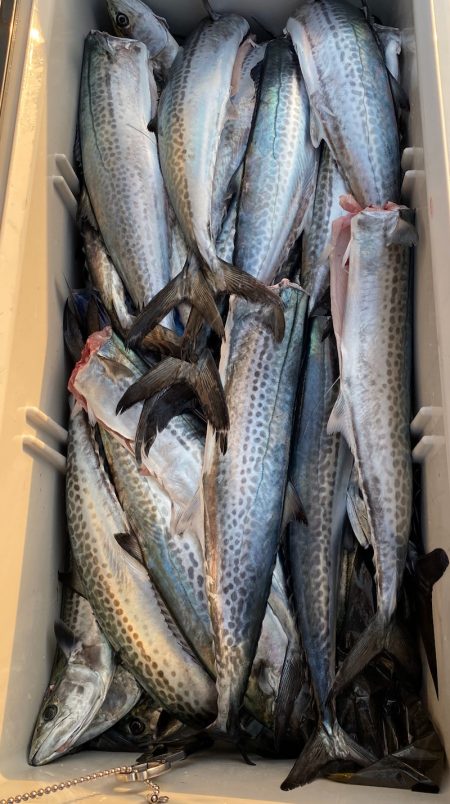 あみや渡船 JIGBOY 釣果