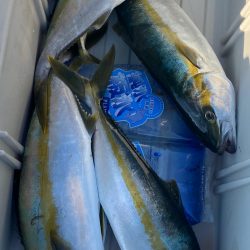 あみや渡船 JIGBOY 釣果