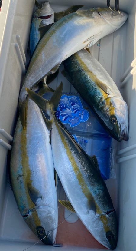 あみや渡船 JIGBOY 釣果