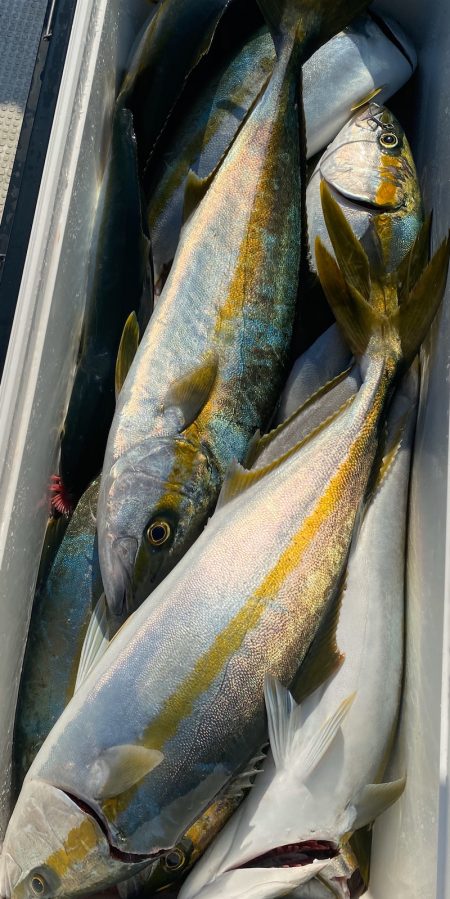 あみや渡船 JIGBOY 釣果