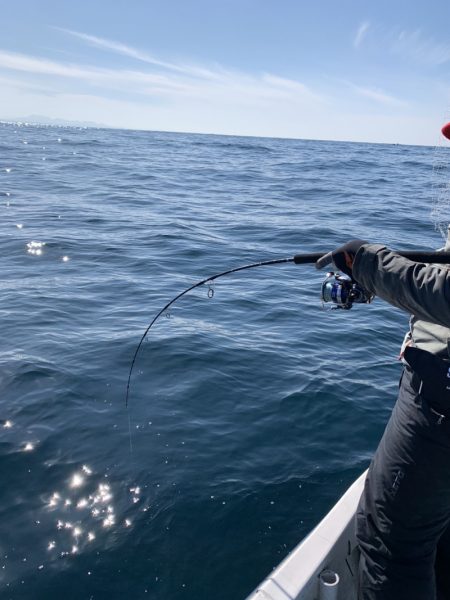 幕島丸 釣果
