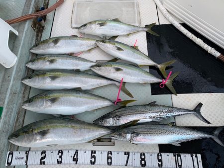 オーシャンスター(Ocean Star) …