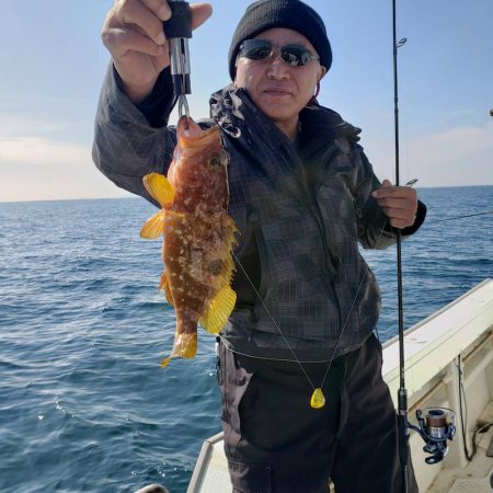 海季丸（みきまる） 釣果