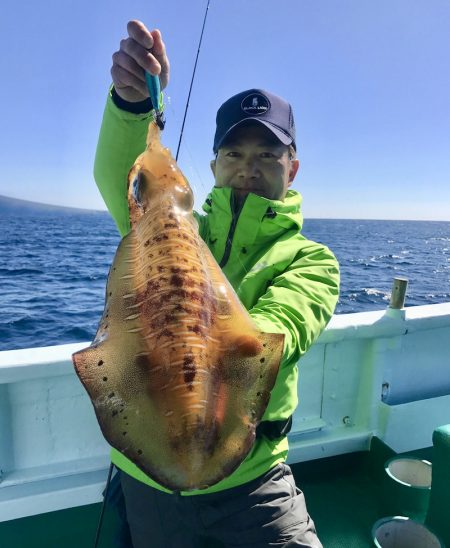 South Current 釣果