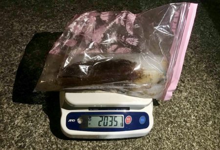 South Current 釣果