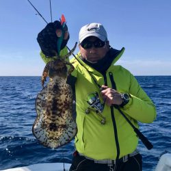 South Current 釣果