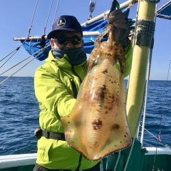 South Current 釣果