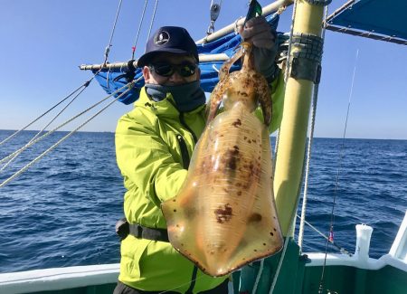 South Current 釣果