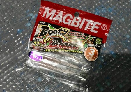 South Current 釣果