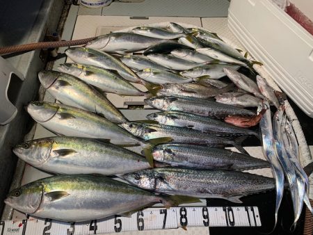 オーシャンスター(Ocean Star) …