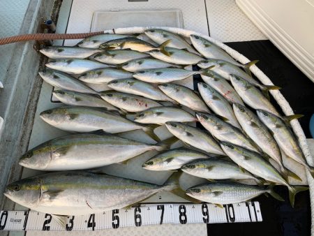 オーシャンスター(Ocean Star) …