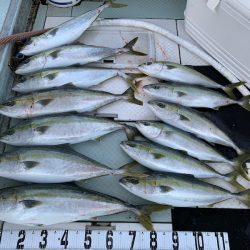 オーシャンスター(Ocean Star) 釣果