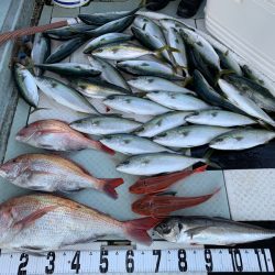 オーシャンスター(Ocean Star) 釣果