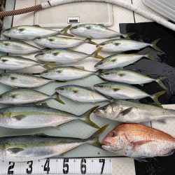 オーシャンスター(Ocean Star) 釣果