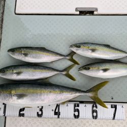 オーシャンスター(Ocean Star) 釣果