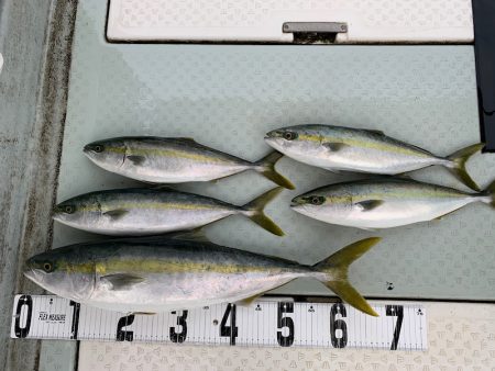 オーシャンスター(Ocean Star) …