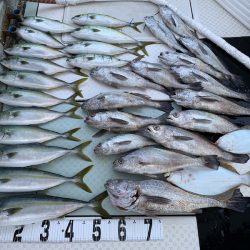 オーシャンスター(Ocean Star) 釣果