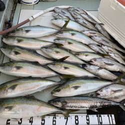 オーシャンスター(Ocean Star) 釣果