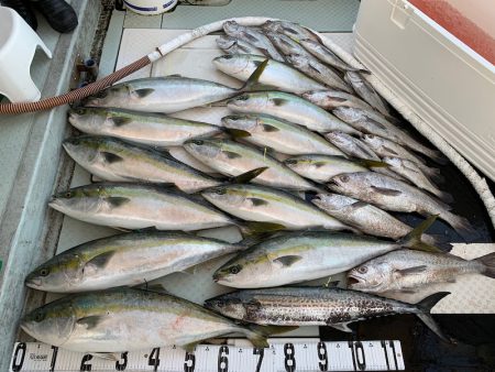 オーシャンスター(Ocean Star) …