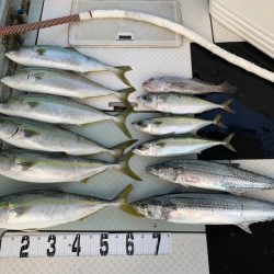 オーシャンスター(Ocean Star) 釣果