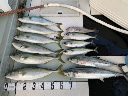 オーシャンスター(Ocean Star) …