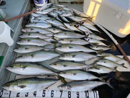 オーシャンスター(Ocean Star) …