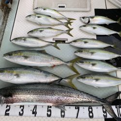 オーシャンスター(Ocean Star) 釣果