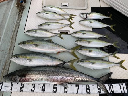 オーシャンスター(Ocean Star) …