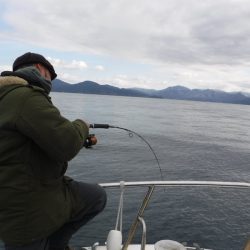 BlueNote Fishing Taxi 釣果