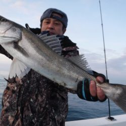 BlueNote Fishing Taxi 釣果