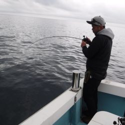 BlueNote Fishing Taxi 釣果