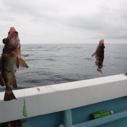 BlueNote Fishing Taxi 釣果