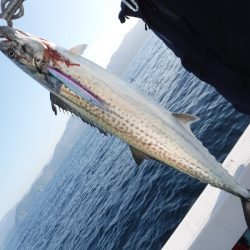 BlueNote Fishing Taxi 釣果