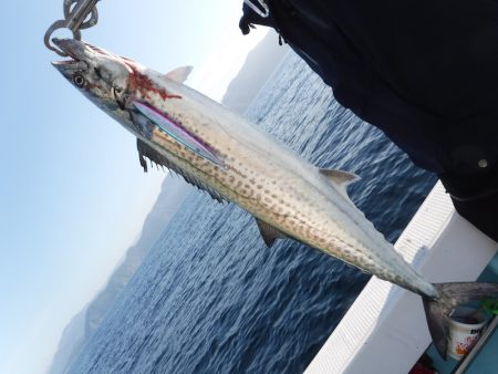 BlueNote Fishing Taxi 釣果